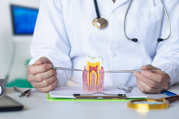 Best Orthodontic Emergency Dentist in New Hampton, IA